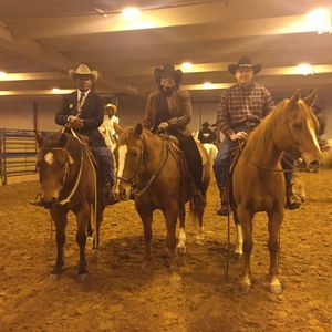 Meet your Posher, Leta